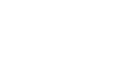 présentation du site